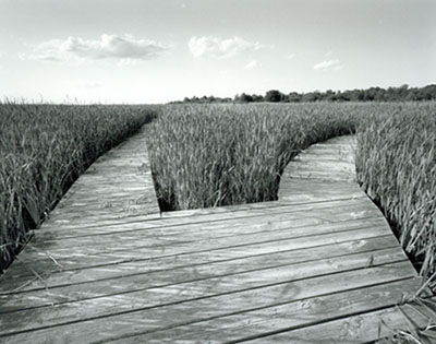 Click for portfolio
